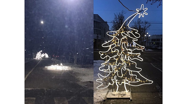 Новый акт вандализма: в центре Вологды бухнулась "пьяная" ель
