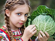 Чистый капустный лист сулит скорое сватовство и счастливый брак: приметы на 8 октября