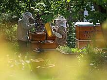 Эксперт назвала главной причиной ухода учителя из школы в РФ уровень зарплаты