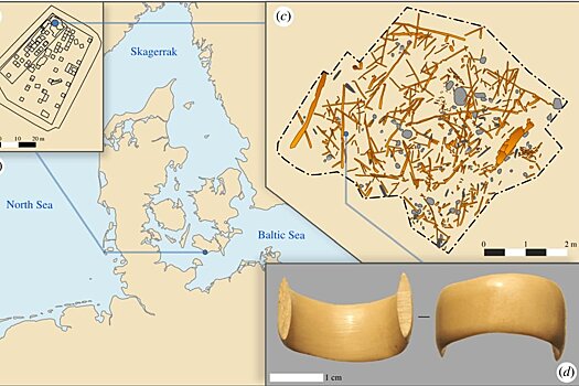 На Балтике найдено кольцо из пантов возрастом 5700 лет