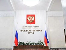 Эксперты призвали партии на выборах в ГД учитывать изменения в обществе