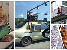 Нарочно не придумать: 13 фотографий, доказывающих, что творчество людей не знает границ