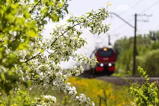 Поезд "Ласточка" начнет курсировать между Майкопом и аэропортом Сочи с 1 июня