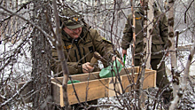 Ямальские специалисты установили 42 солонца и кормовые площадки для диких животных