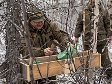 Ямальские специалисты установили 42 солонца и кормовые площадки для диких животных