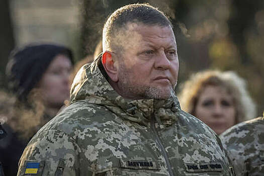 Депутат Шеремет: Зеленский может пойти на физическую ликвидацию Залужного