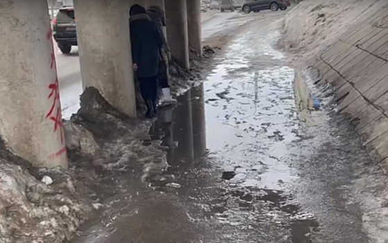 Рязанцы пожаловались на огромную лужу под мостом на Московском шоссе