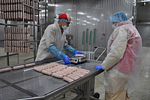 Завод по производству сыровяленых колбас открыли в Протвине