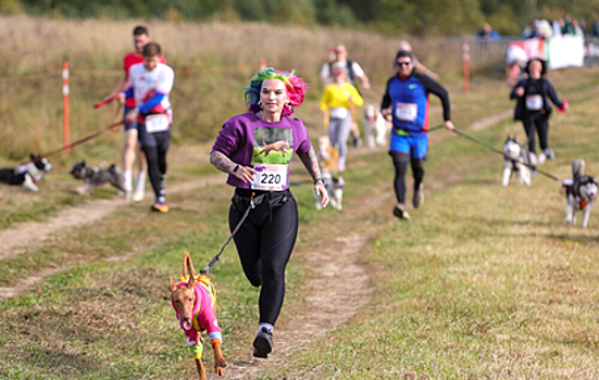 Кросс "Быстрый пес" провели в Битцевском лесу