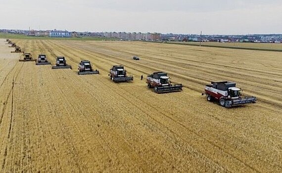 Засушливое лето "съело" 34,8% урожая в Татарстане