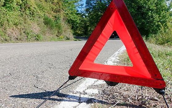 В ДТП со слетевшим в кювет автомобилем пострадал водитель