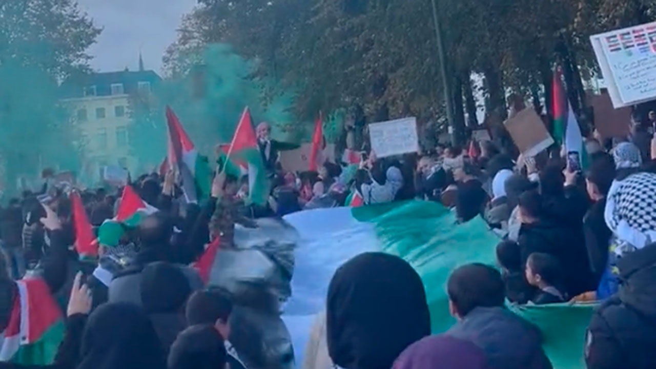 В Гааге прошла демонстрация в поддержку Палестины