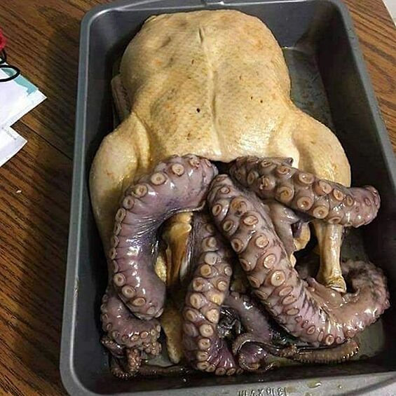 Каким-то чудесном образом курица родила осьминога!