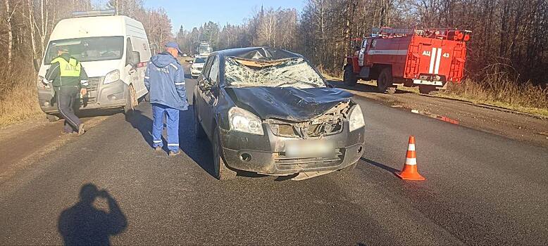 Женщина сбила лося на трассе в Якшур-Бодьинском районе Удмуртии