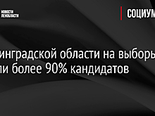 Представители девяти партий примут участие в муниципальных выборах в Ленинградской области