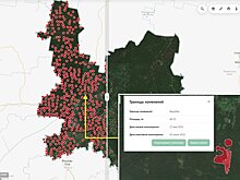 Искусственный интеллект помогает бороться с «лесными пиратами» в Кировской области