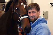 Глава Чечни Рамзан Кадыров выкупил своего коня, похищенного в Чехии, у украинских спецслужб