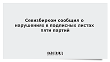 В подписных листах 5 партий найдены нарушения, заявили в Севастопольском избиркоме