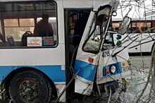 В Барнауле троллейбус врезался в дерево