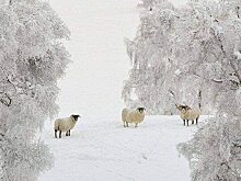 Вера Афанасьева: Чечня скоро станет туристической Меккой России