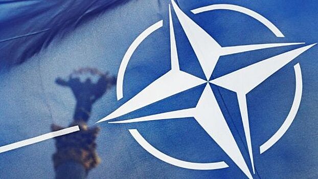 РИАН: НАТО в бешенстве, а Зеленский показал Западу, кто главный в Европе