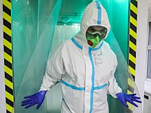 Эксперты рассказали, как оспа обезьян будет распространяться в России