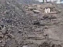 Ученики курской гимназии ходят на уроки через глубокий овраг