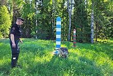 Финляндия захотела привлечь тысячи солдат для охраны границы с Россией