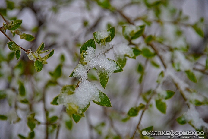 Метеоролог рассказал, в каком городе Свердловской области выпало больше всего снега