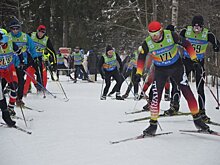 Лыжи, собаки, люди. В Карелии пройдет свой Праздник Севера