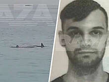 Отец погибшего от нападения акулы россиянина заявил, что все произошло очень быстро