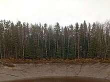 В Вологодской области из-за ушедшей через воронку воды пропало озеро