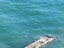 Видео: действия туристов в Сочи вызвали споры в соцсетях