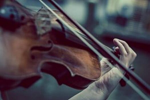 Концерт скрипичной музыки организовали в залах музея «Дом Лосева»