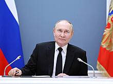 Раскрыт процесс создания фамильного древа Путина