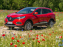 Тест-драйв Renault Kadjar: Отвечаем на 5 главных вопросов читателей