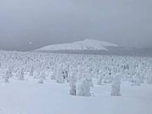 Оценены шансы пропавших без вести на горе в России туристов на выживание