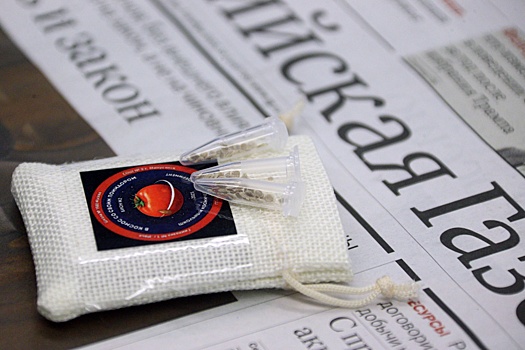 Школьники РФ и Беларуси исследуют семена томатов, побывавшие в космосе