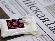 Школьники РФ и Беларуси исследуют семена томатов, побывавшие в космосе