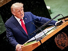 Гегемон разбушевался: Трамп пригрозил Путину бумажной дубинкой