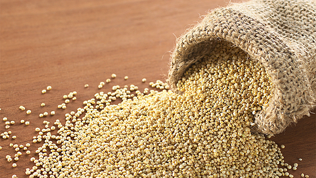 Спельта, киноа, амарант: польза древних зерновых культур