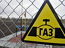 В РФ отреагировали на слова депутата об украинском газе