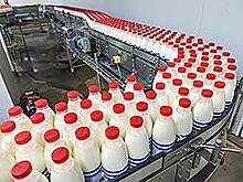 Вьетнамская TH Grou готова вложить $220 млн в молочный комплекс в Башкирии