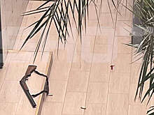 "КП": юноша, устроивший стрельбу в анапском колледже, мог взять ружье у деда