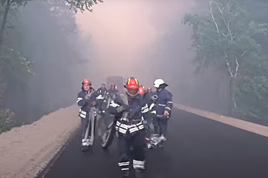 Украина заподозрила ЛНР в причастности к лесным пожарам