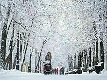 Синоптик предупредил о снегопадах и резком похолодании в Москве