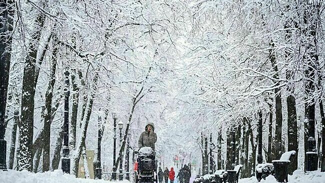 Синоптик предупредил о снегопадах и резком похолодании в Москве