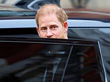 Одержимую принцем Гарри женщину заметили в нескольких метрах от него в суде