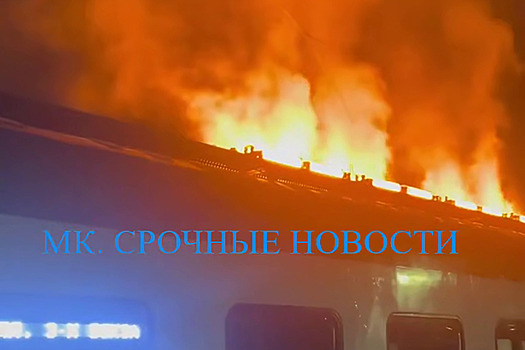 В Подмосковье загорелась электричка