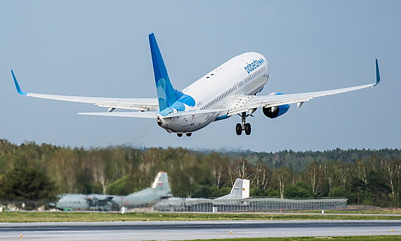 Самолет столкнулся с птицей в аэропорту Екатеринбурга